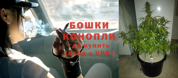 прущие крисы Костерёво