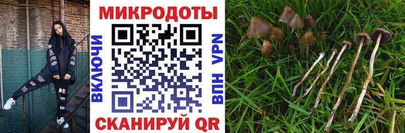 Псилоцибиновые грибы GOLDEN TEACHER  Купить  Почеп 